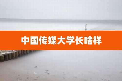 中国传媒大学长啥样