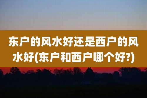 东户的风水好还是西户的风水好(东户和西户哪个好?)