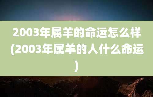2003年属羊的命运怎么样(2003年属羊的人什么命运)