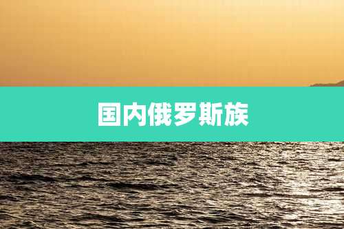 国内俄罗斯族