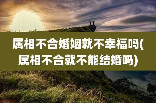 属相不合婚姻就不幸福吗(属相不合就不能结婚吗)