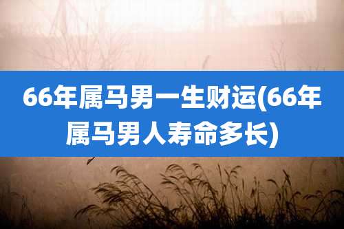 66年属马男一生财运(66年属马男人寿命多长)