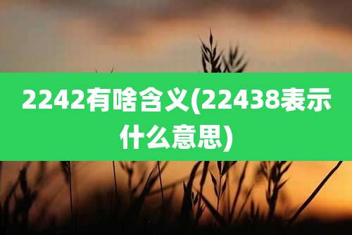 2242有啥含义(22438表示什么意思)
