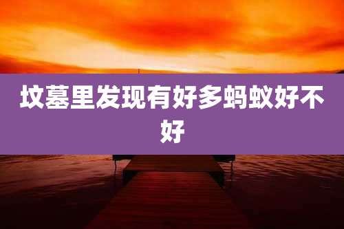 坟墓里发现有好多蚂蚁好不好