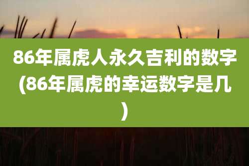 86年属虎人永久吉利的数字(86年属虎的幸运数字是几)