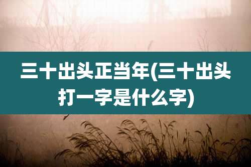三十出头正当年(三十出头打一字是什么字)