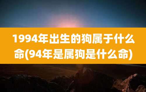 1994年出生的狗属于什么命(94年是属狗是什么命)