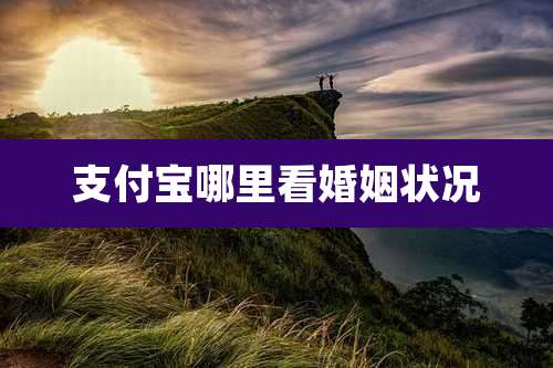 支付宝哪里看婚姻状况
