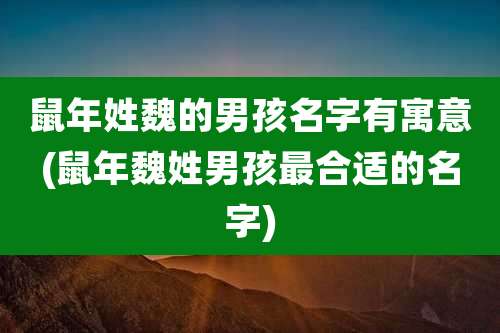 鼠年姓魏的男孩名字有寓意(鼠年魏姓男孩最合适的名字)