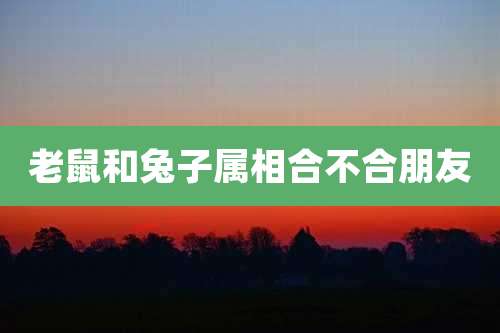 老鼠和兔子属相合不合朋友