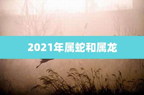 2021年属蛇和属龙