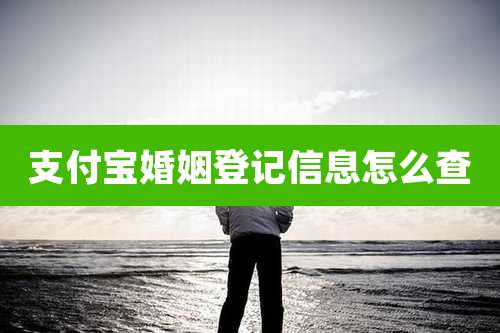 支付宝婚姻登记信息怎么查