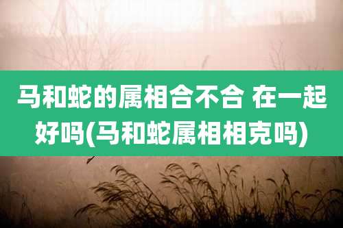 马和蛇的属相合不合 在一起好吗(马和蛇属相相克吗)