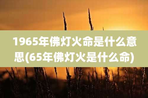 1965年佛灯火命是什么意思(65年佛灯火是什么命)
