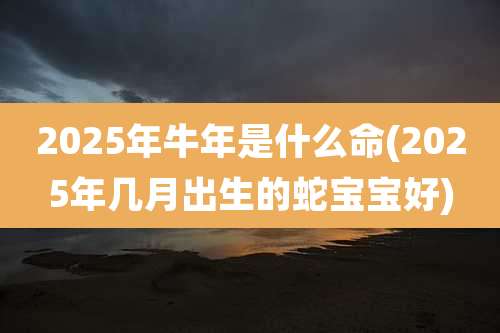 2025年牛年是什么命(2025年几月出生的蛇宝宝好)