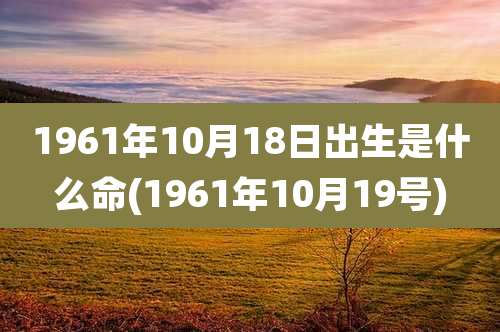 1961年10月18日出生是什么命(1961年10月19号)