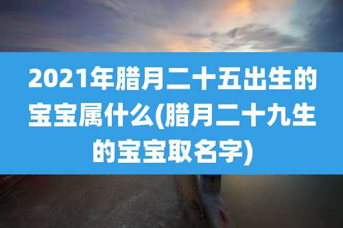2021年腊月二十五出生的宝宝属什么(腊月二十九生的宝宝取名字)