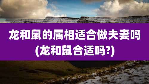 龙和鼠的属相适合做夫妻吗(龙和鼠合适吗?)