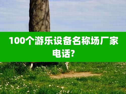 100个游乐设备名称场厂家电话?