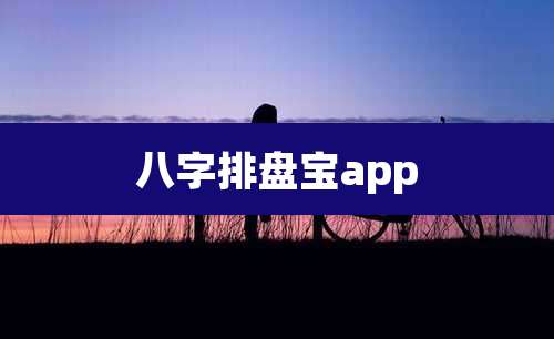 八字排盘宝app