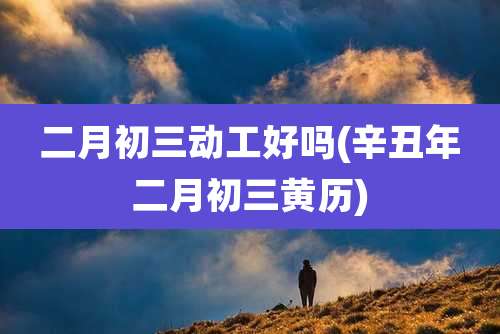 二月初三动工好吗(辛丑年二月初三黄历)