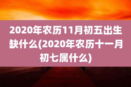 2020年农历11月初五出生缺什么(2020年农历十一月初七属什么)
