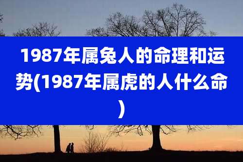 1987年属兔人的命理和运势(1987年属虎的人什么命)