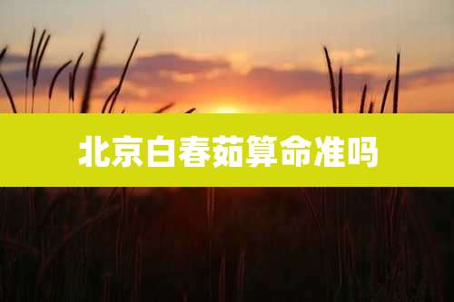 北京白春茹算命准吗