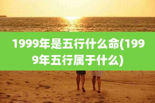 1999年是五行什么命(1999年五行属于什么)