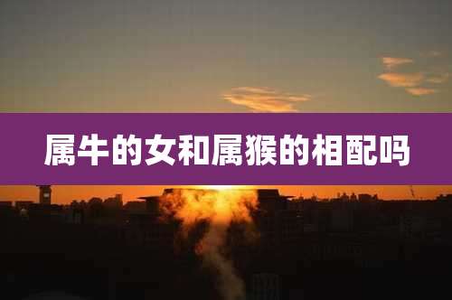 属牛的女和属猴的相配吗