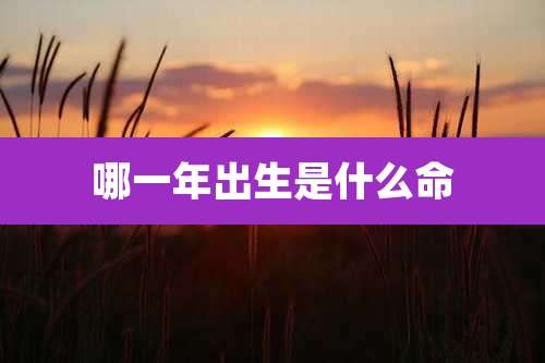 哪一年出生是什么命