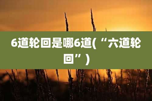 6道轮回是哪6道(“六道轮回”)