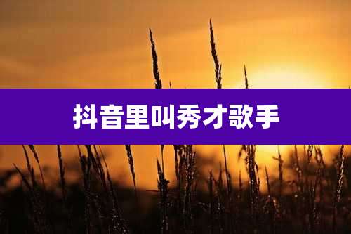 抖音里叫秀才歌手