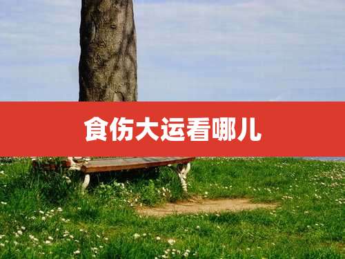 食伤大运看哪儿