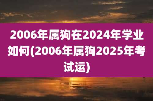 2006年属狗在2024年学业如何(2006年属狗2025年考试运)