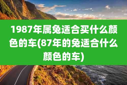 1987年属兔适合买什么颜色的车(87年的兔适合什么颜色的车)