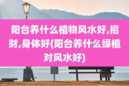 阳台养什么植物风水好,招财,身体好(阳台养什么绿植对风水好)