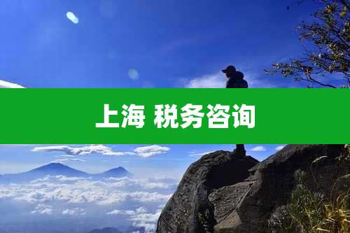 上海 税务咨询