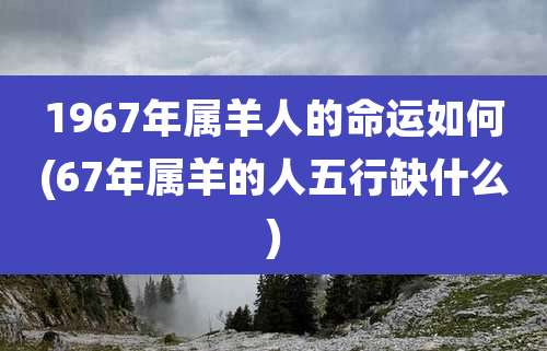 1967年属羊人的命运如何(67年属羊的人五行缺什么)