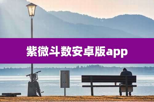 紫微斗数安卓版app