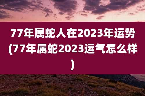 77年属蛇人在2023年运势(77年属蛇2023运气怎么样)