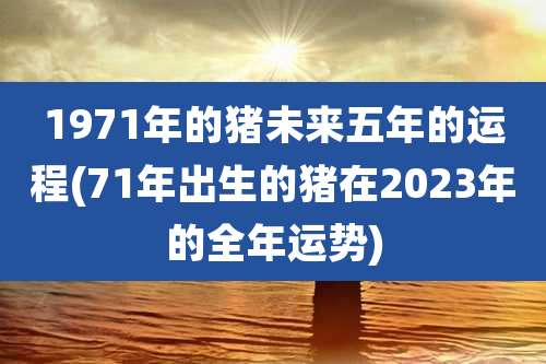 1971年的猪未来五年的运程(71年出生的猪在2023年的全年运势)