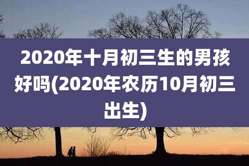 2020年十月初三生的男孩好吗(2020年农历10月初三出生)