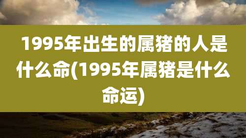 1995年出生的属猪的人是什么命(1995年属猪是什么命运)