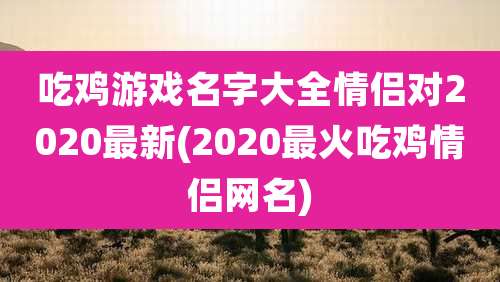 吃鸡游戏名字大全情侣对2020最新(2020最火吃鸡情侣网名)