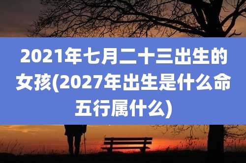 2021年七月二十三出生的女孩(2027年出生是什么命五行属什么)