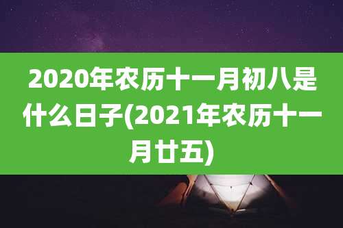 2020年农历十一月初八是什么日子(2021年农历十一月廿五)