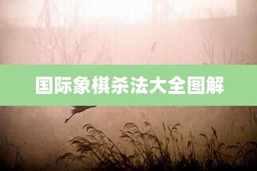 国际象棋杀法大全图解