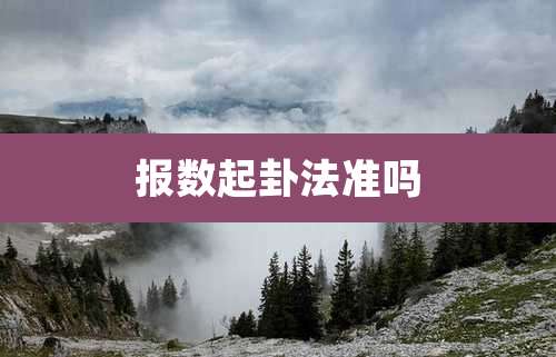 报数起卦法准吗