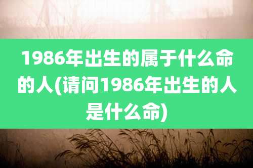1986年出生的属于什么命的人(请问1986年出生的人是什么命)